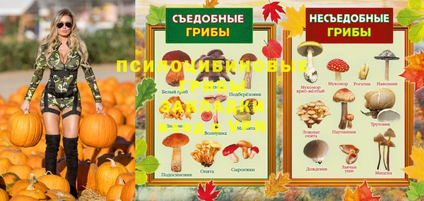 Альфа ПВП Верхнеуральск