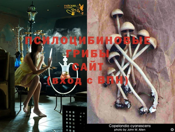 ECSTASY Верея